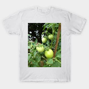 Tomatoes Tree T-Shirt